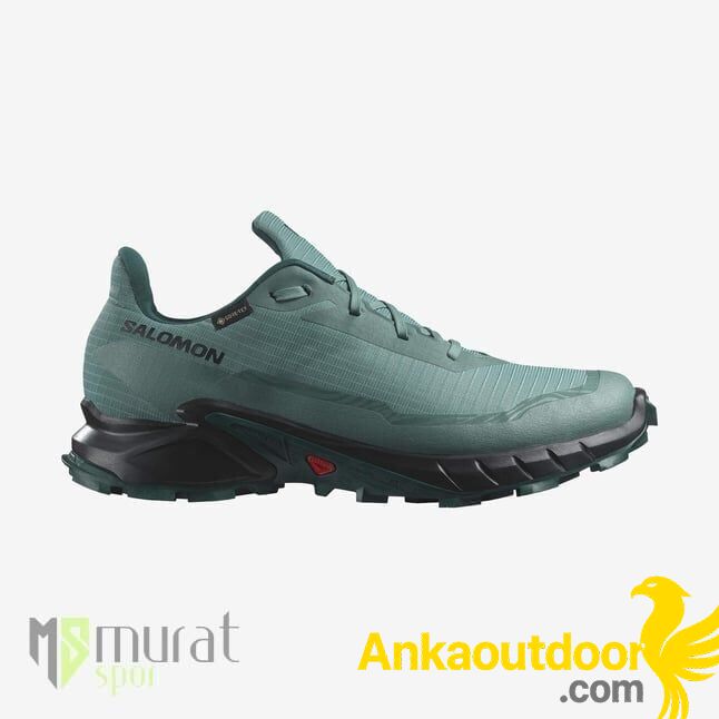 Salomon Alphacross 5 GTX Outdoor Ayakkabı Mavi