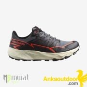 Salomon Thundercross GTX Outdoor Ayakkabı Gri