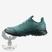Salomon Alphacross 5 Gore-Tex Outdoor Ayakkabı